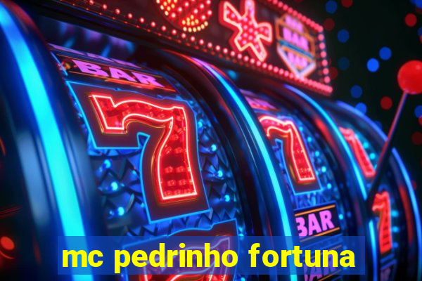 mc pedrinho fortuna